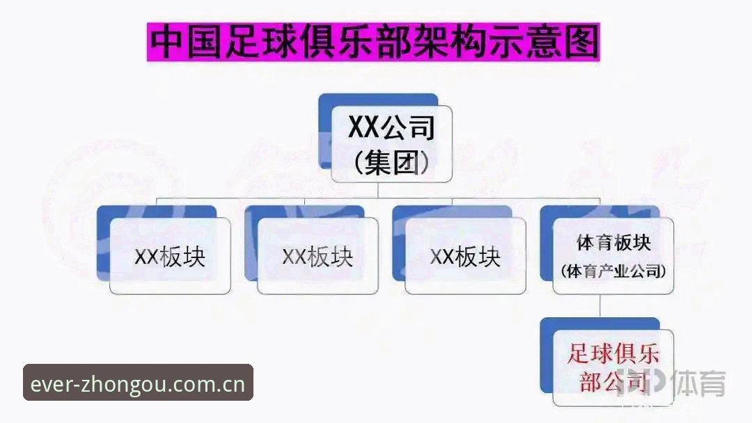 深度揭秘中欧体育官网登录技巧与使用诀窍，高效投注背后的真相
